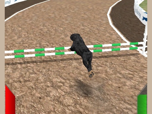 Jeu Crazy Real Dog Race