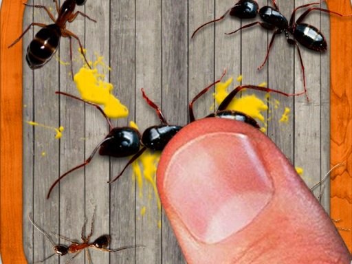 Jeu Smash The Insect