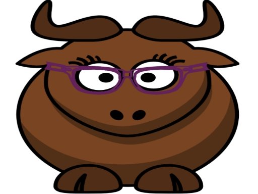 Jeu Bull Touch