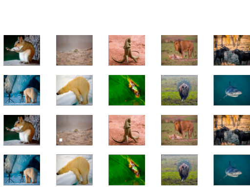 Jeu Mémoire Animale
