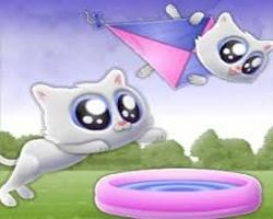 Jeu Chaton Extrême