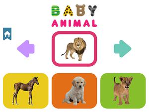 Jeu Bébé Animal