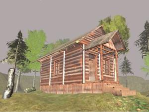 Jeu Survivre Dans La Forêt